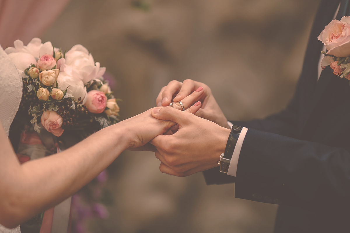 wedding-websites wedding-websites